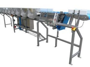 SEGREGACJA WAGOWA TAŚMOWA