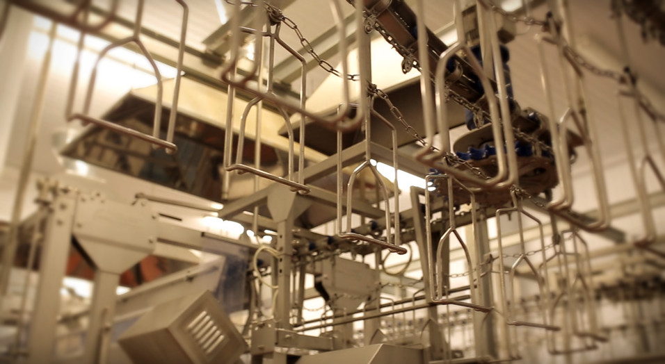 Szlachet-Stal devices designed for supporting the poultry slaughtering process.