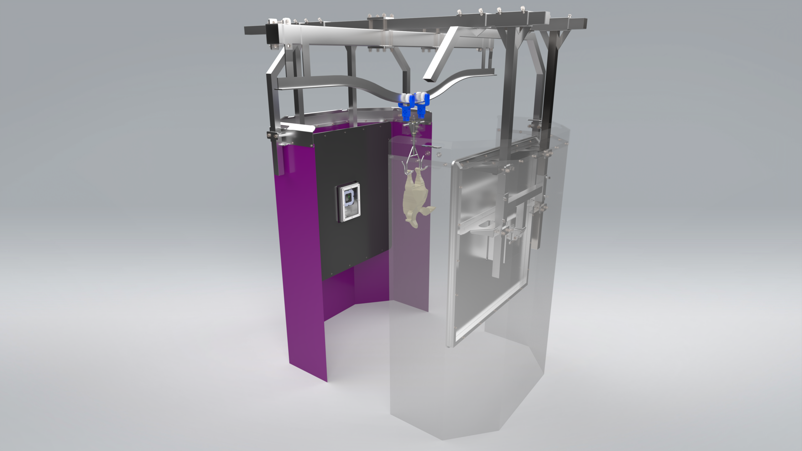 Optical carcass classification system